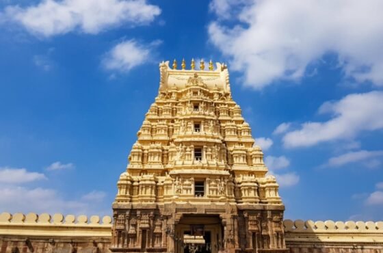 Discover the Spiritual Heart of Tamil Nadu and the Southern Tip – A 5-Day Journey