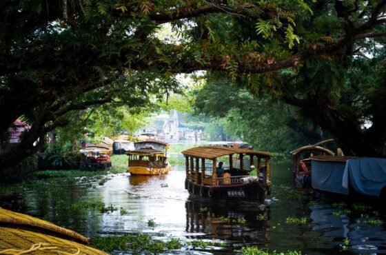 Kerala & Tamil Nadu Scenic Hills Tour: Cochin → Alleppey → Munnar → Ooty → Coonoor → Coimbatore
