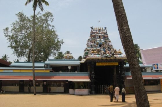 Trivandrum City Sightseeing with Kovalam Beach