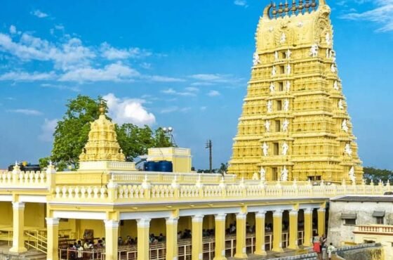 Discover the Royal Heritage and Scenic Beauty of Coorg, Mysore & Srirangapatna: A 4-Day Itinerary
