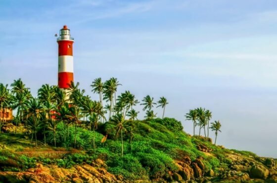Discover the Enchanting Backwaters, Hills, and Beaches of Kerala – 7 Days