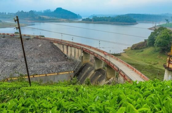 Jewels of South India : Coimbatore – Munnar – Thekkady – Alleppey – Poovar – Kovalam – Trivandrum