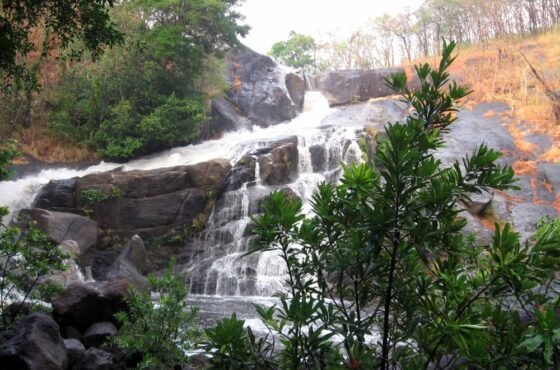Mysore – Wayanad – Mysore Tour