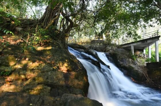 Ponmudi Hills – Kallar River and Meenmutty Waterfalls