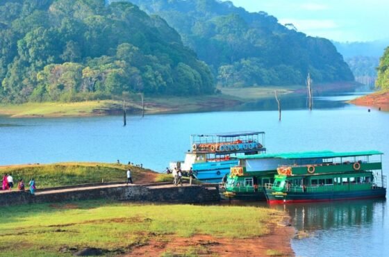 Kerala Explorer: Munnar, Thekkady & Alleppey – 5-Day Journey