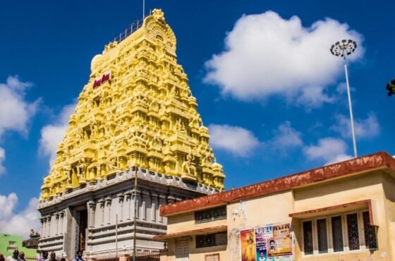 Rameswaram – Dhanushkodi – Ramnad: Discover the Sacred Shores of Rameswaram and Ramnad