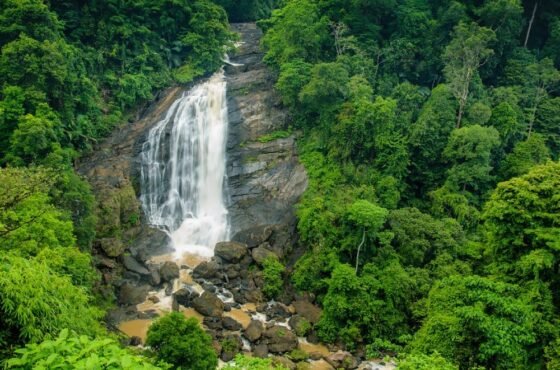 Munnar Expedition: A 3-Day Hill Station Experience