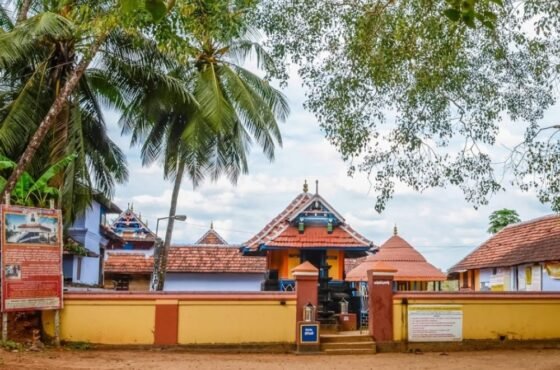 Malainadu & Nava Tirupati (Pandiyanadu) Divyadesam 03 Nights 04 Days (23 Divyadesam Temple Tour)
