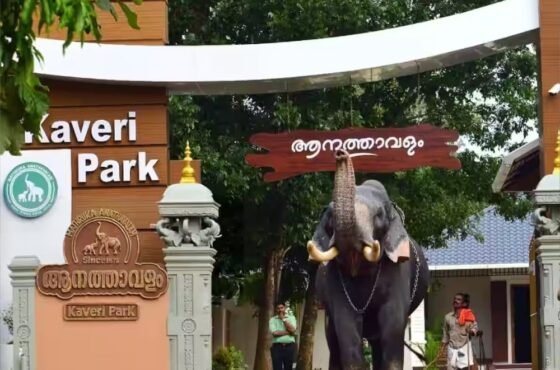 Kerala Coastal & Backwater Delights: Varkala, Munroe Island & Jatayu Tour