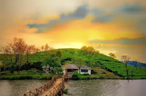 Vagamon – Kumarakom Tour
