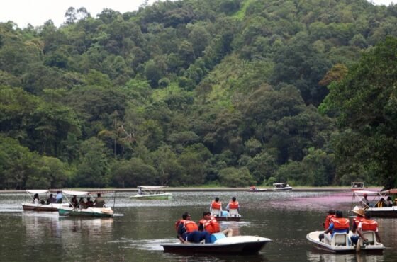 5D Mysore – Wayanad – Mysore Tour