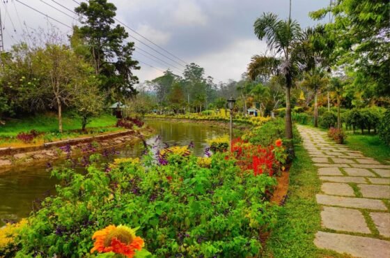 Madurai – Munnar – Madurai