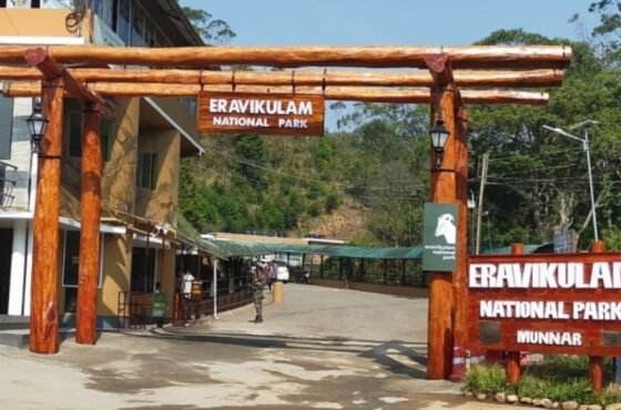 Why It’s Smart to Book Eravikulam National Park Tickets Online — Avoid Queues, Secure Entry & Enjoy More