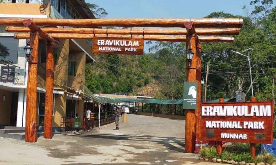 Why It’s Smart to Book Eravikulam National Park Tickets Online — Avoid Queues, Secure Entry & Enjoy More