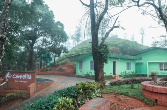 Wayanad Kambamala – A Hidden Gem of Kerala’s Hills
