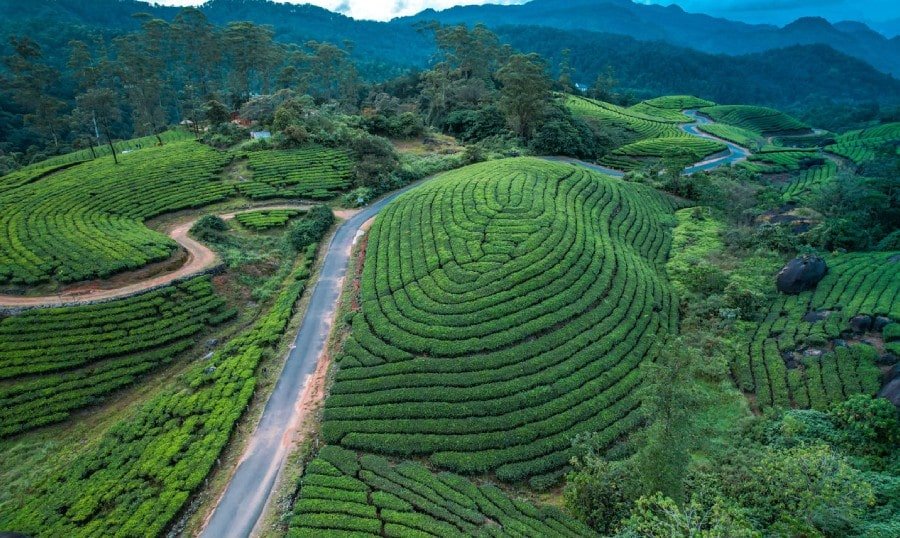Munnar1-min