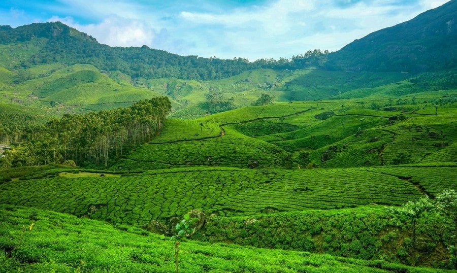 Munnar3-min