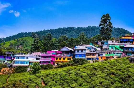 Munnar – The Crown Jewel of Kerala’s Hill Stations