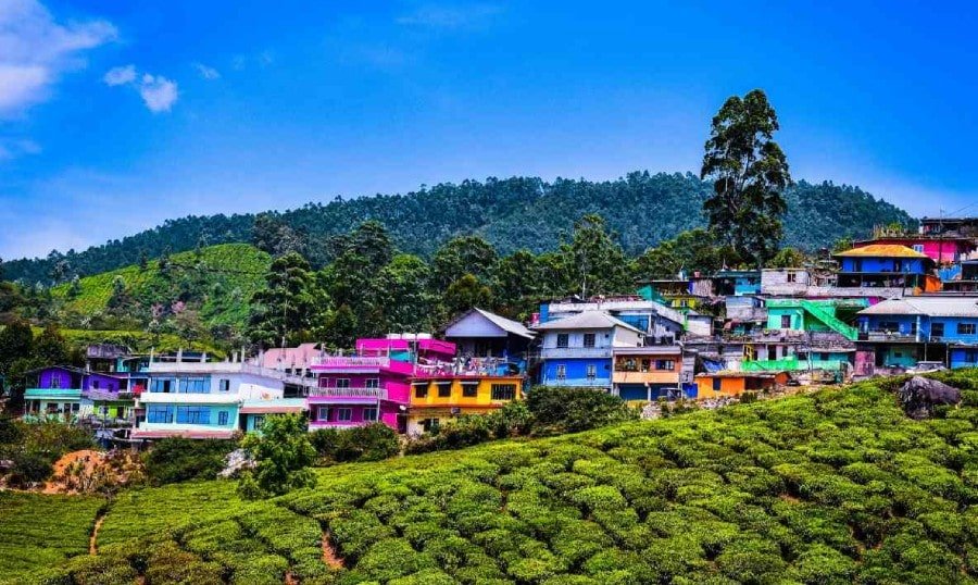 Munnar – The Crown Jewel of Kerala’s Hill Stations
