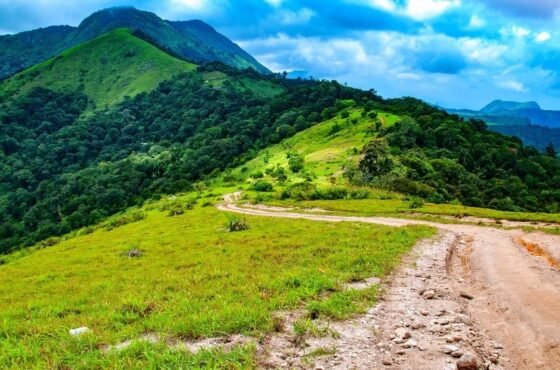 Nelliyampathy Hill Station – Kerala’s Untouched Paradise in the Western Ghats