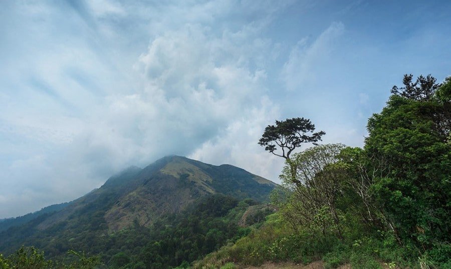 Nelliyampathy Hill Station2-min