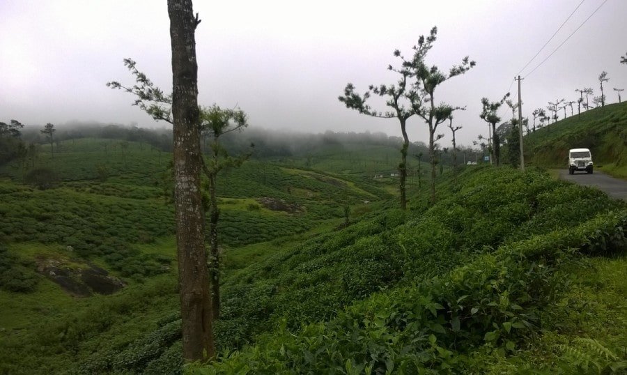 Nelliyampathy Hill Station3-min