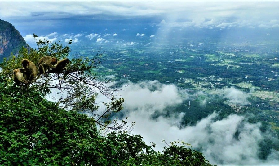 Nelliyampathy Hill Station4-min