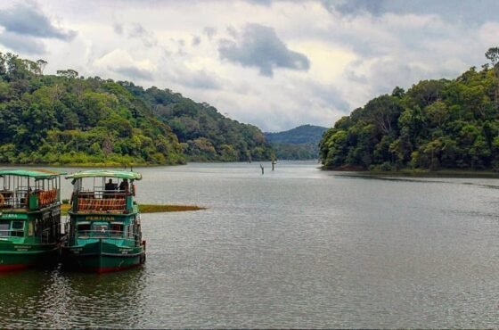 Thekkady Boating Online Booking — Skip the Queue & Secure Your Spot