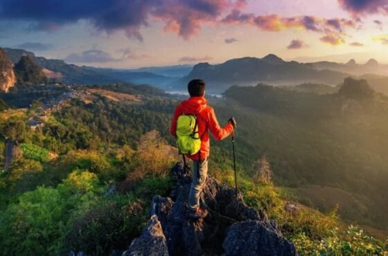 Wayanad Travel Guide 2025 – Updated Timings, Entry Fees & Attractions