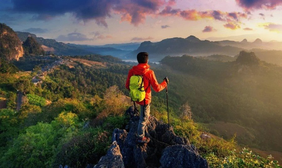 Wayanad Travel Guide 2025 – Updated Timings, Entry Fees & Attractions